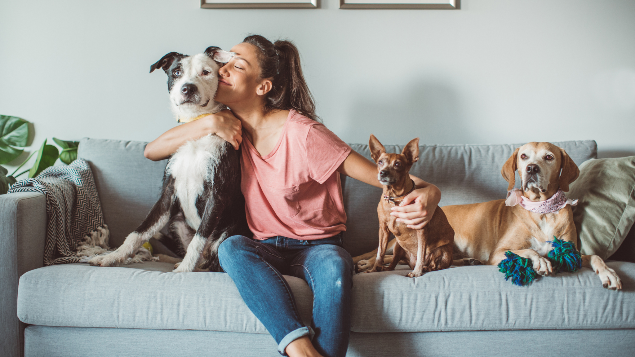 Essential Pet Health Tips: Keeping Your Furry Friend Happy and Healthy