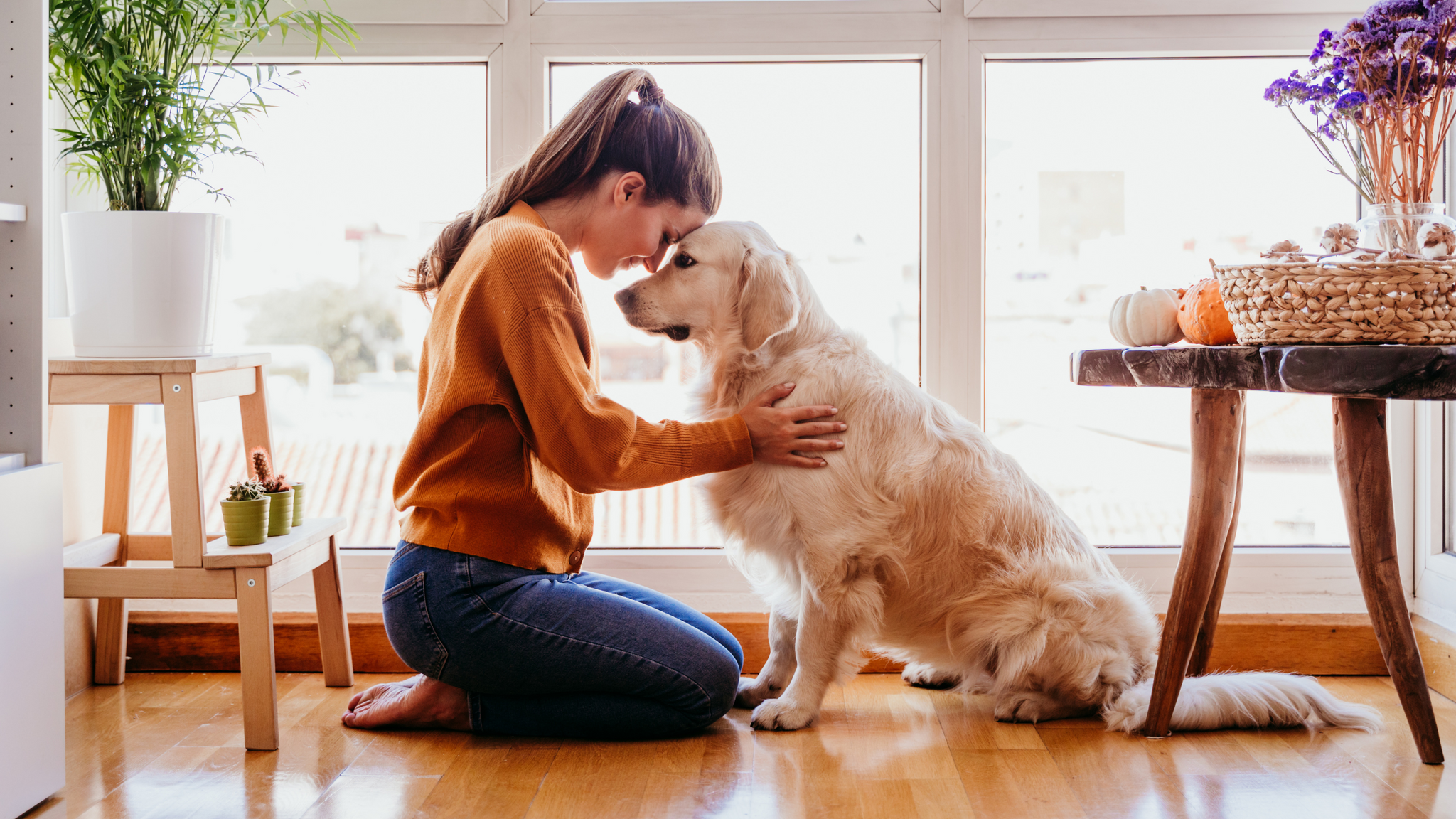 Creating a Lasting Bond: Building a Strong Relationship with Your Pet