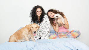 Creating a Safe and Pet-Friendly Home: A Guide for New Pet Owners