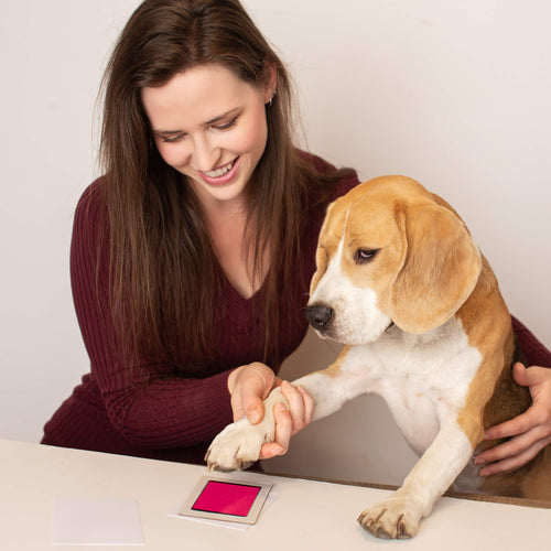 Paw print inkless online